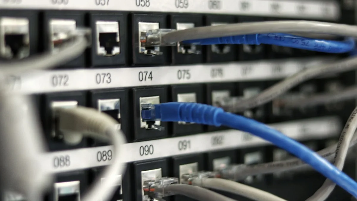 Network cables connected to a server switch, representing the IT infrastructure that cybersecurity teams defend